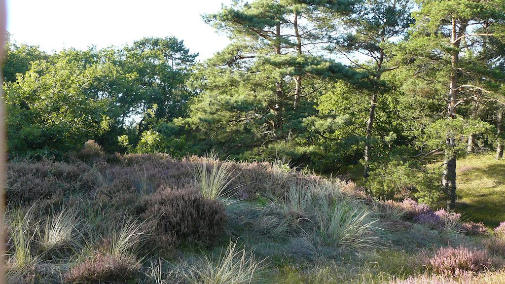 Vakantiehuis 't Kasteeltje Bergen