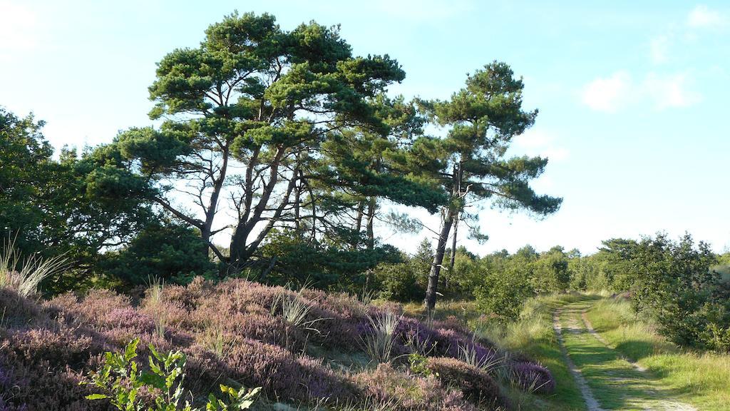 't Kasteeltje